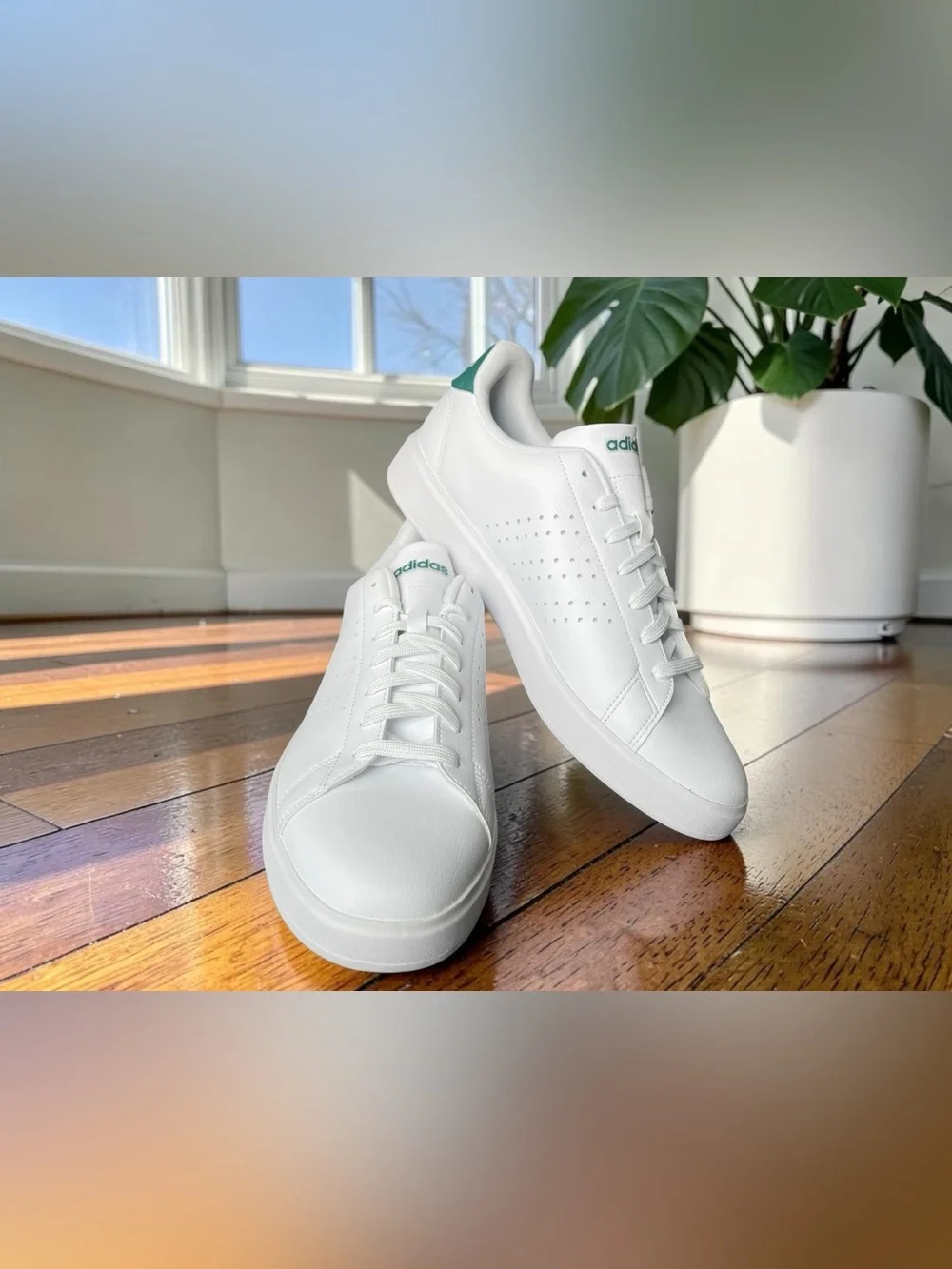 adidas clean white
